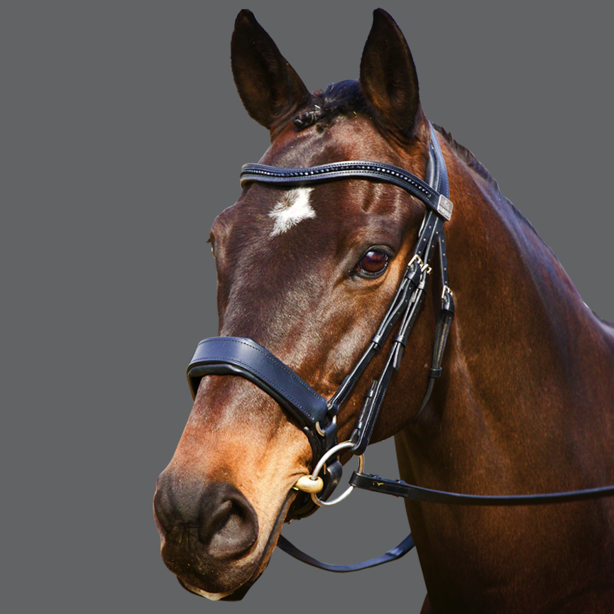 Bespoke Fairfax Snaffle Bridle