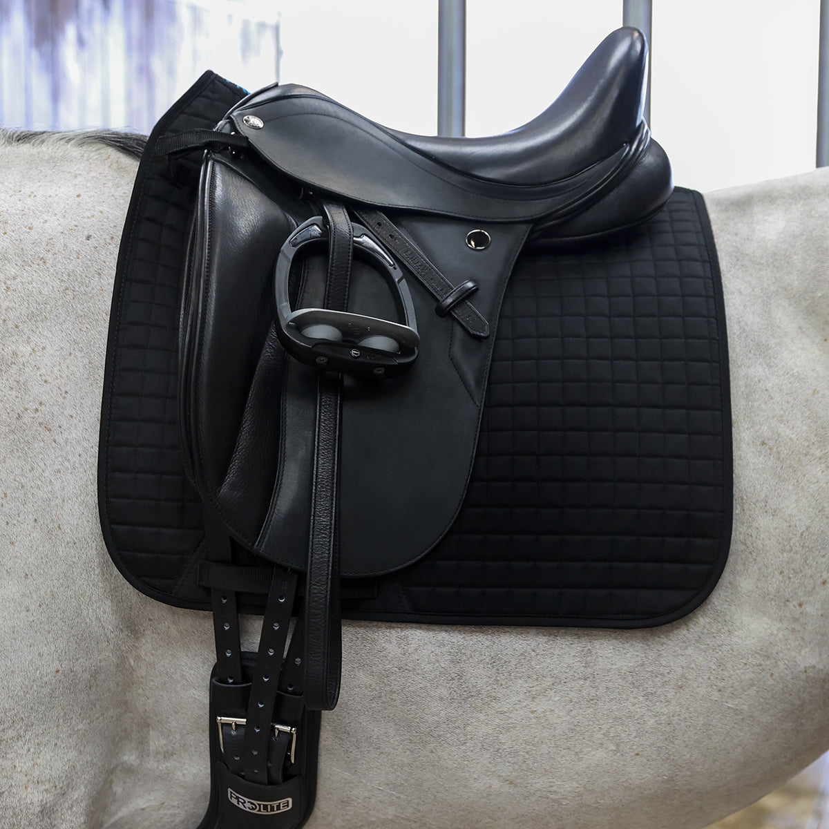 Cotton Dressage Saddlecloth