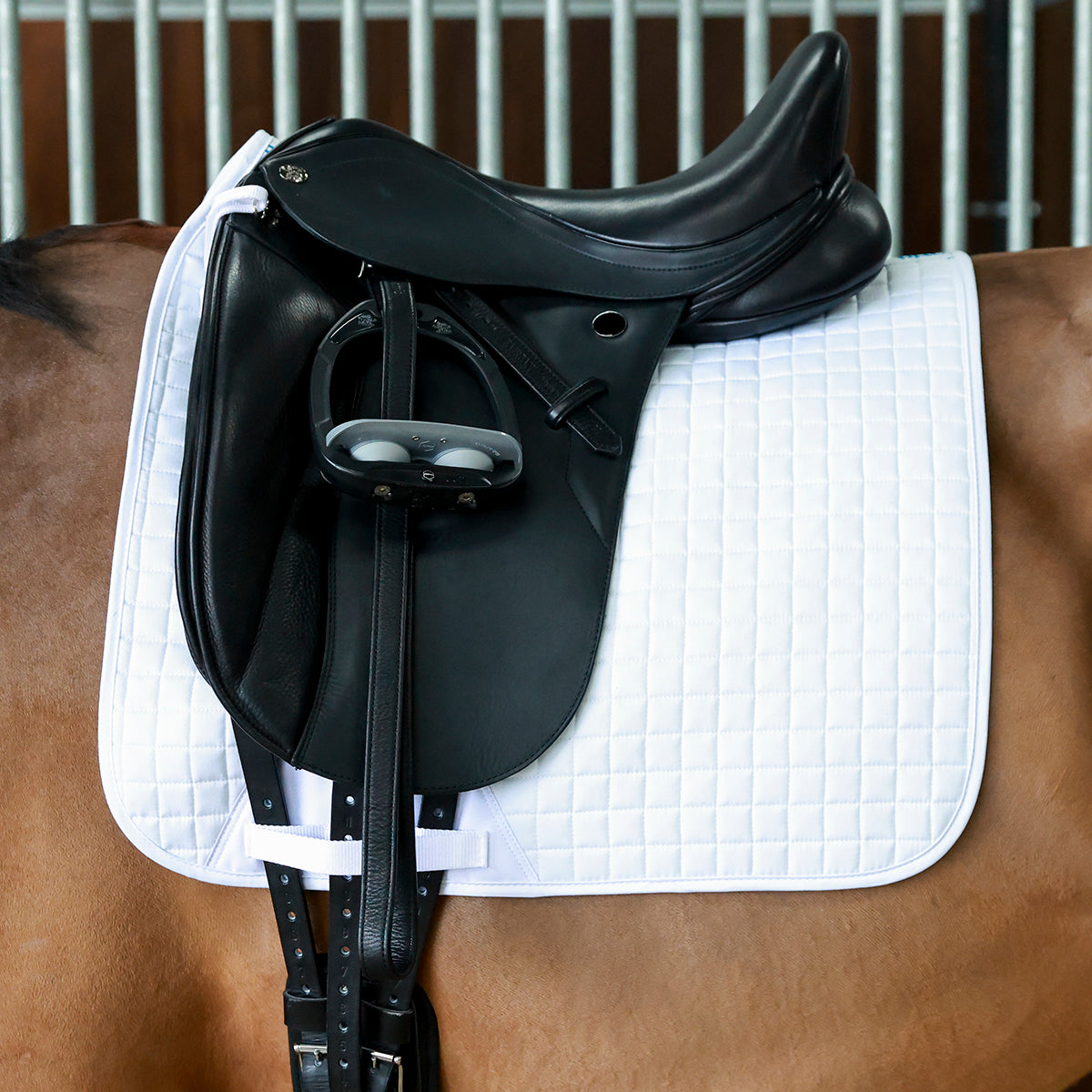 Cotton Dressage Saddlecloth