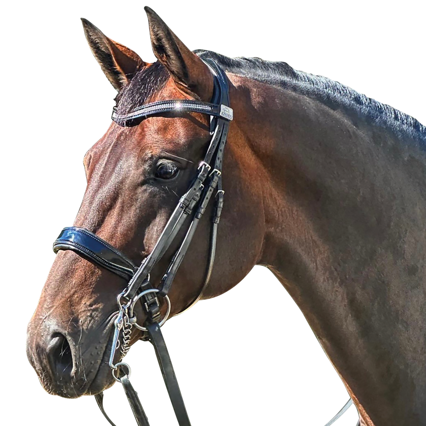Complete Fairfax Double Bridle with Patent Cavesson Noseband and Browband