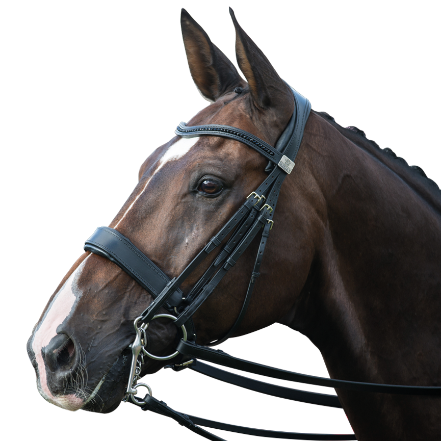 Complete Fairfax Double Bridle with Cavesson Noseband
