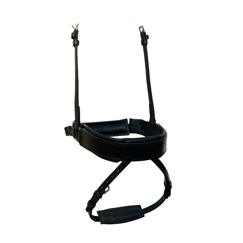 Fairfax Separate Flash