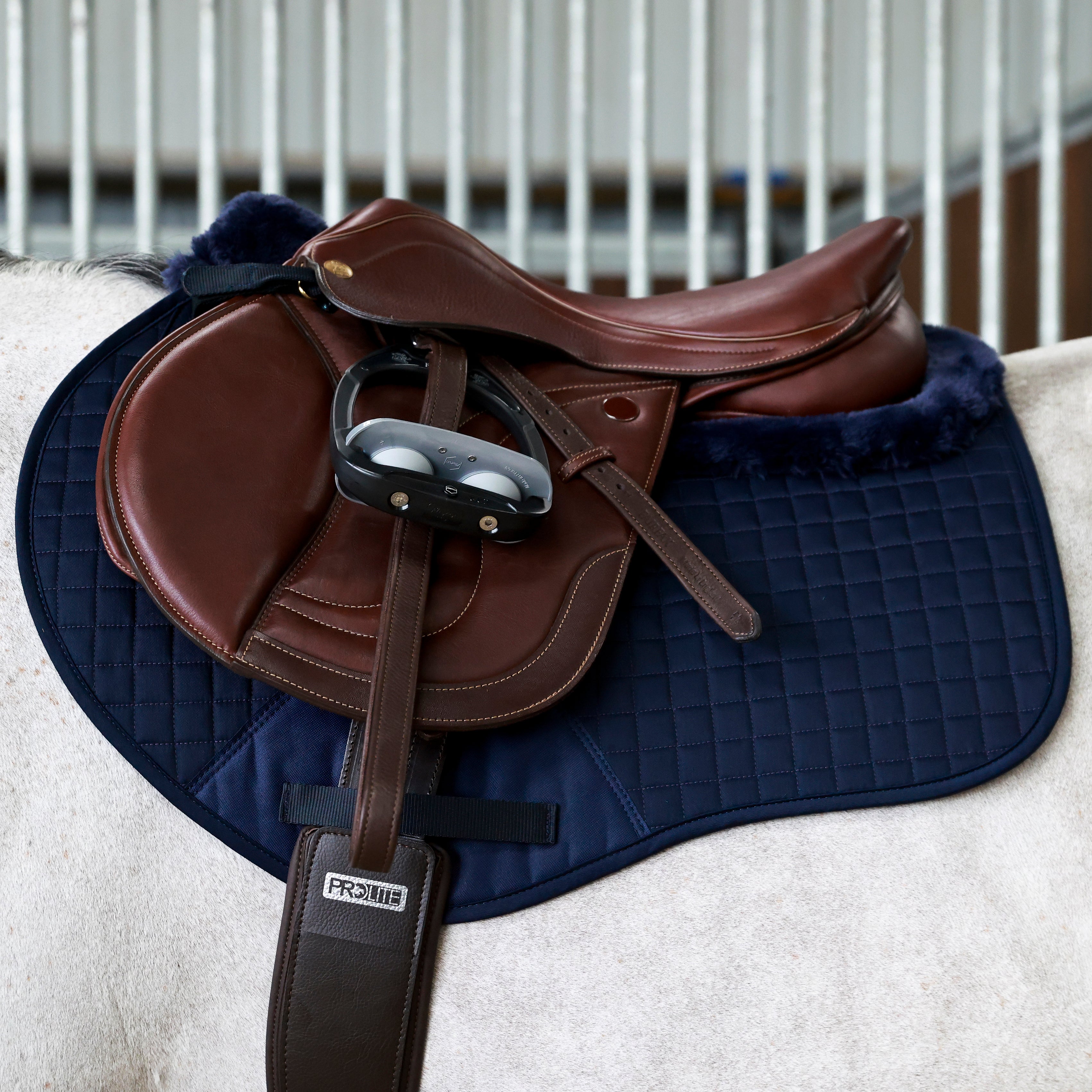 Fleece Trim Adjustable Jump Saddlecloth