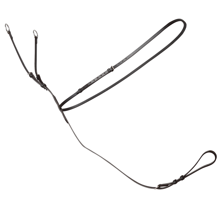 Fairfax Martingale