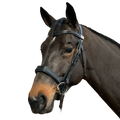 Complete Fairfax Snaffle Bridle with Narrow Cavesson Noseband