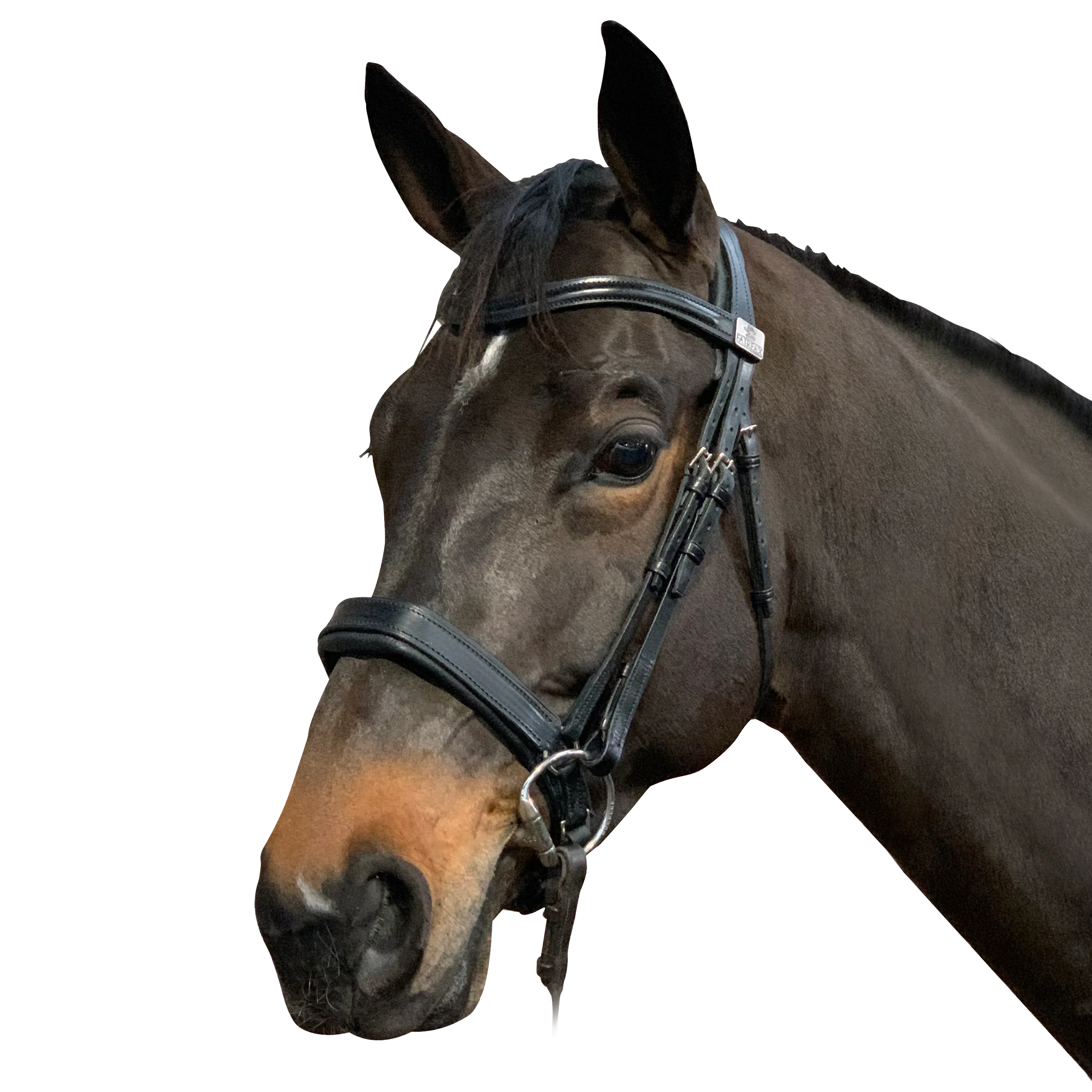Complete Fairfax Snaffle Bridle with Narrow Cavesson Noseband