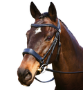 Complete Fairfax Snaffle Bridle with Cavesson Noseband