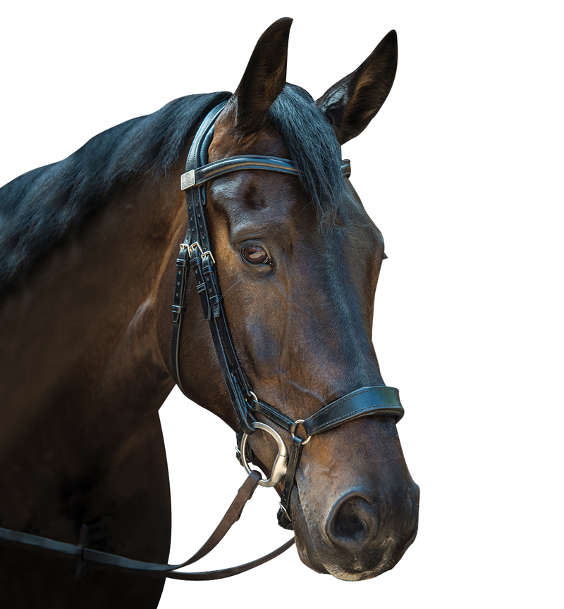 Complete Fairfax Snaffle Bridle with Drop Noseband
