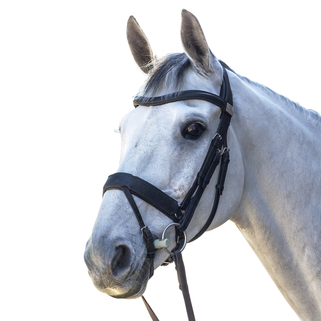 Complete Fairfax Snaffle Bridle with Flash Noseband
