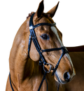 Complete Fairfax Snaffle Bridle with Grackle Noseband