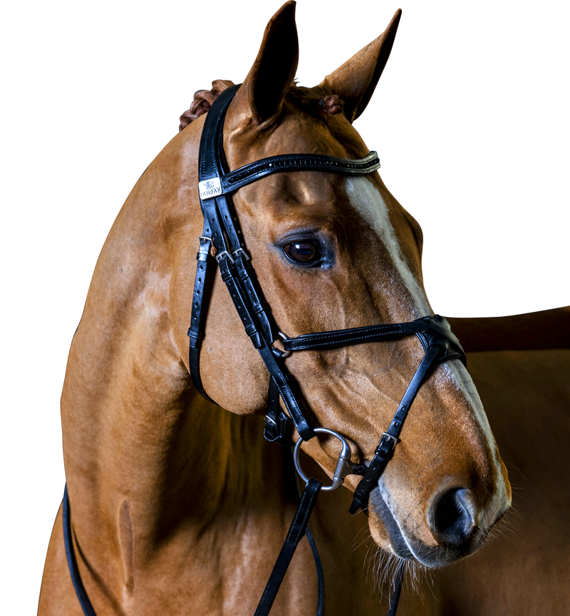 Complete Fairfax Snaffle Bridle with Grackle Noseband